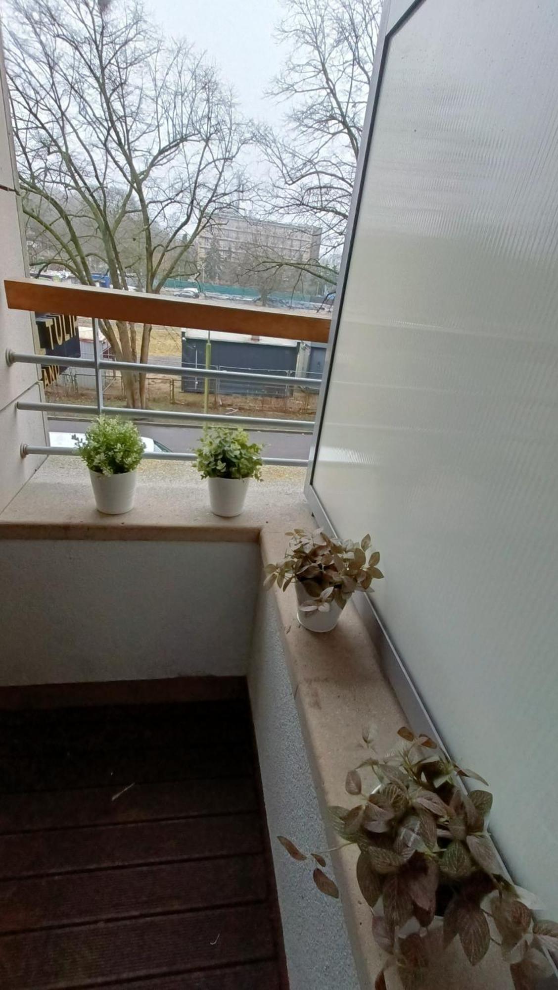 120 W 5 Gwiazdowym Royal Tulip Sand 200 M Od Plazy Dobruk Apartamenty 코워브제크 외부 사진